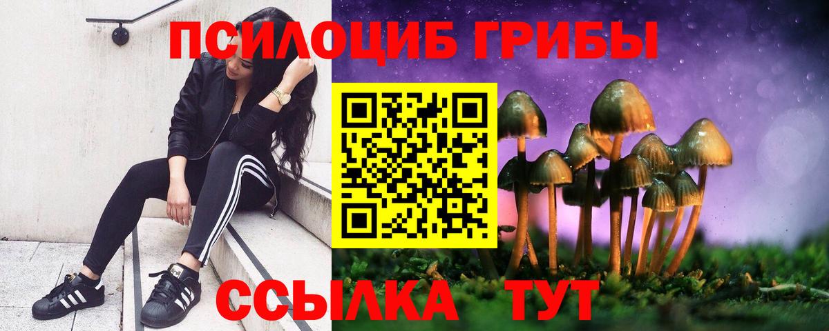 Бузулук  как найти наркотики  Вход с VPN  Галлюциногенные грибы GOLDEN TEACHER 